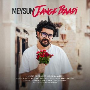 میثام – جنگ بعدی